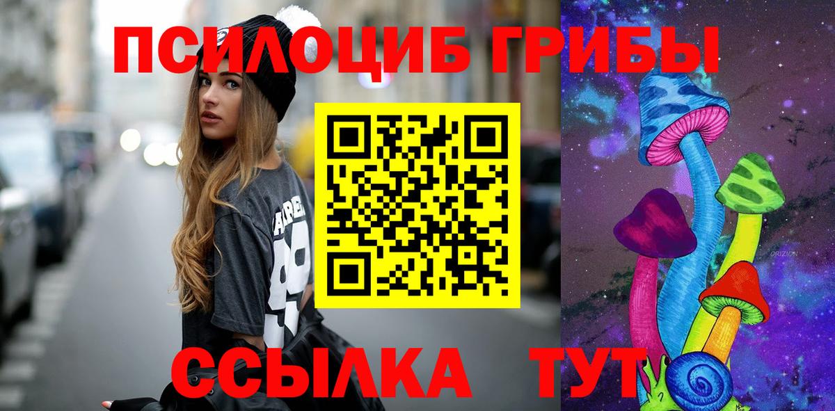 Камышин  Псилоцибиновые грибы Psilocybe  Псилоцибиновые грибы мицелий  Вход с VPN 